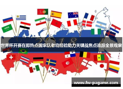 世界杯开赛在即热点国家队老将经验助力关键战焦点追踪全景观察