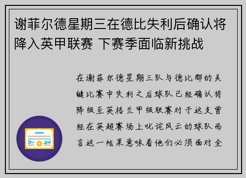 谢菲尔德星期三在德比失利后确认将降入英甲联赛 下赛季面临新挑战