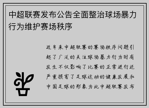 中超联赛发布公告全面整治球场暴力行为维护赛场秩序